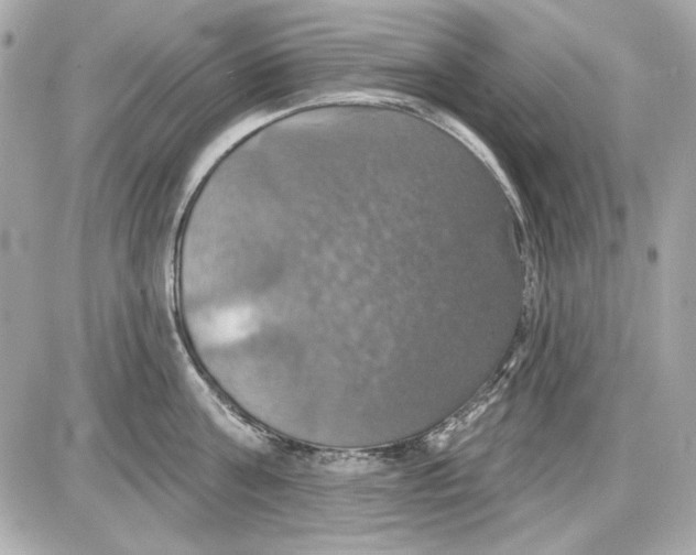 X0000087410811200705111850