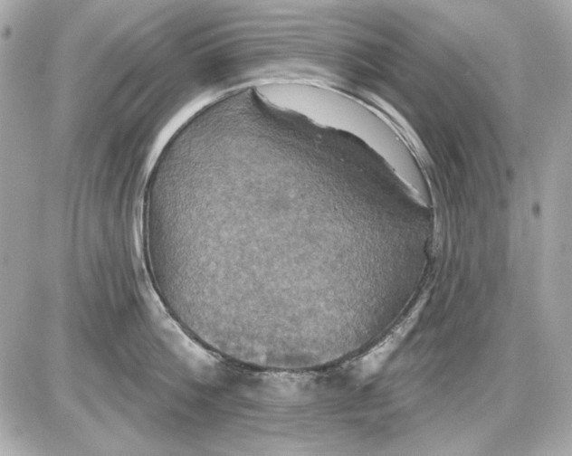 X0000087410812200705111850