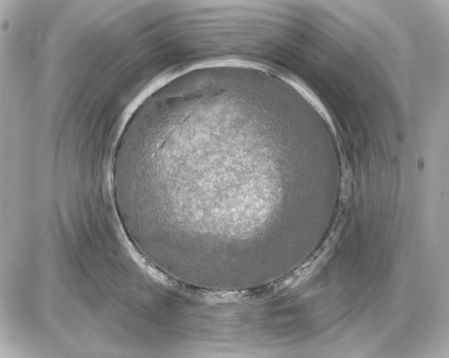 X0000087410813200705111850