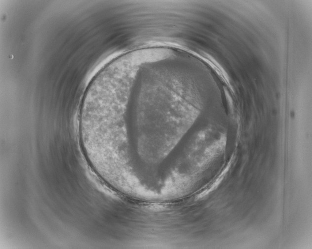 X0000087410814200705111850