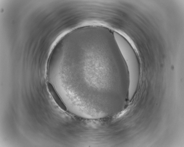 X0000087410815200705111849