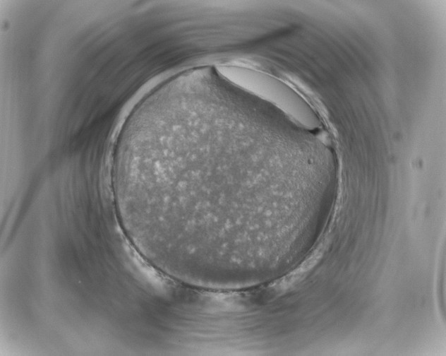 X0000087410816200705111849