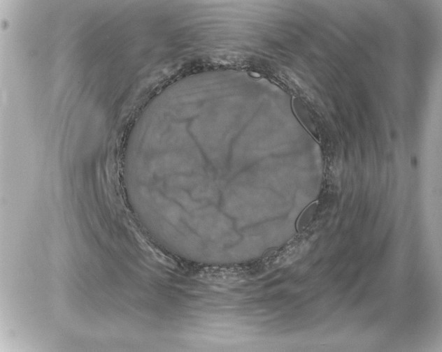 X0000087410817200705111849