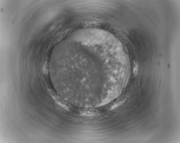 X0000087410819200705111849