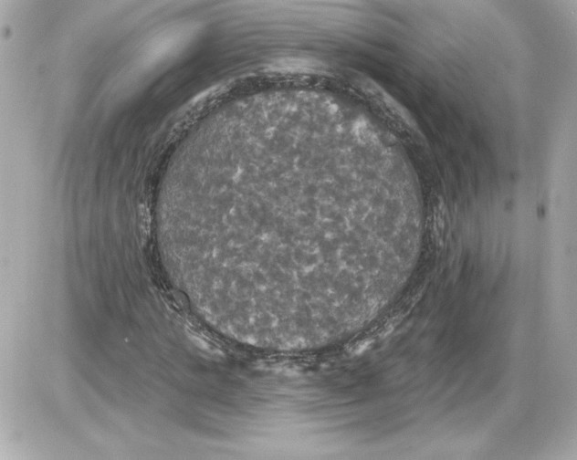 X0000087410821200705111849