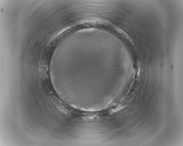 X0000087410822200705111849