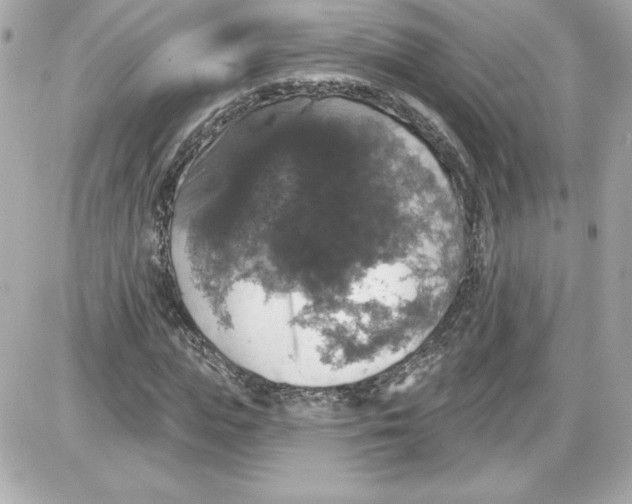 X0000087410823200705111849