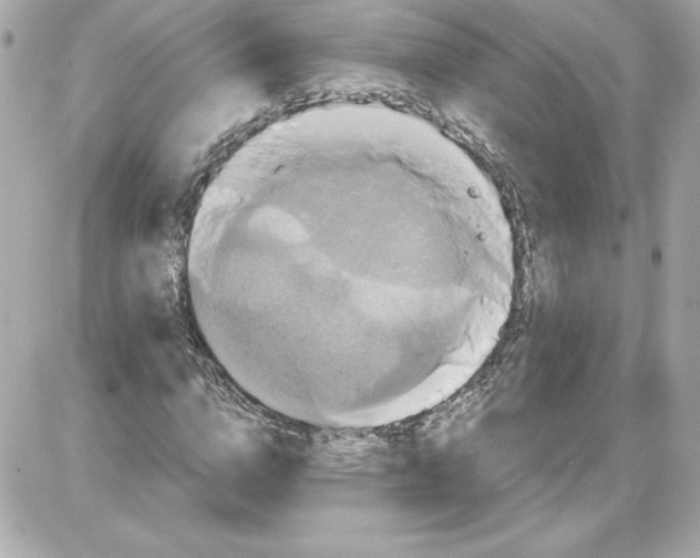 X0000087410824200705111849