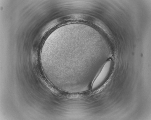 X0000087410826200705111849