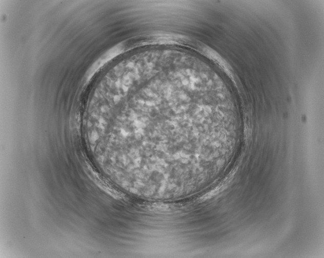 X0000087410827200705111849