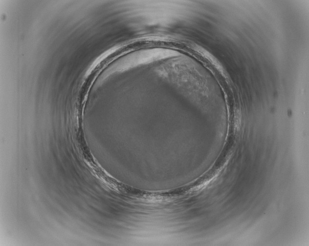 X0000087410829200705111849