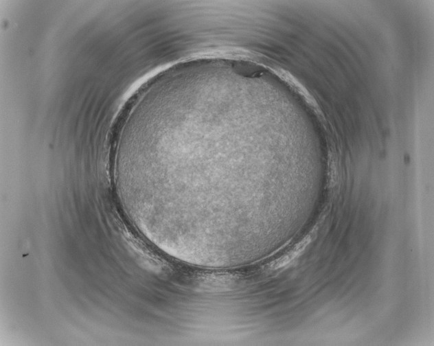 X0000087410830200705111849