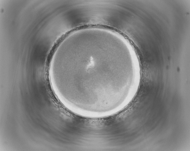 X0000087410832200705111849