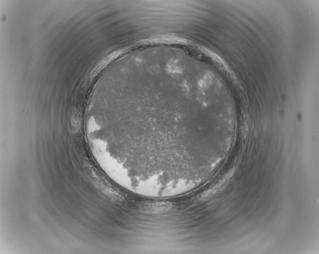 X0000087410833200705111849