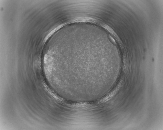 X0000087410834200705111849