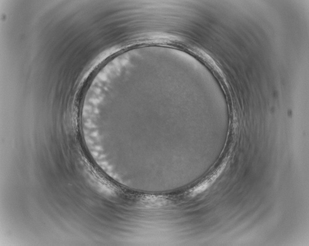 X0000087410835200705111849