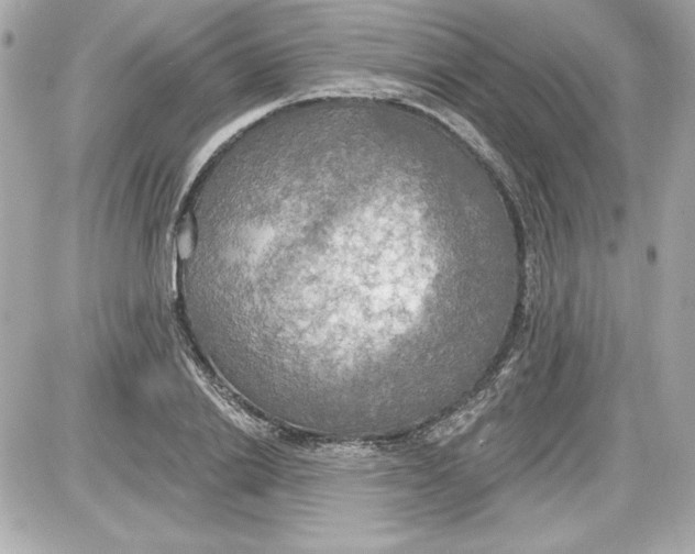 X0000087410838200705111849