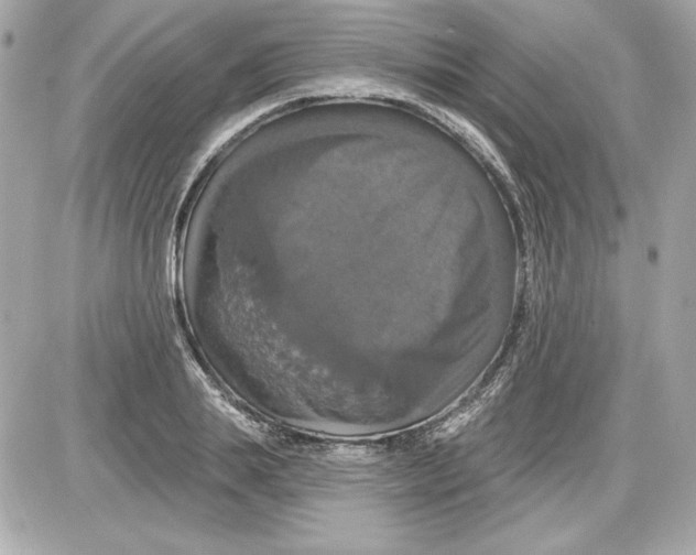 X0000087410839200705111849