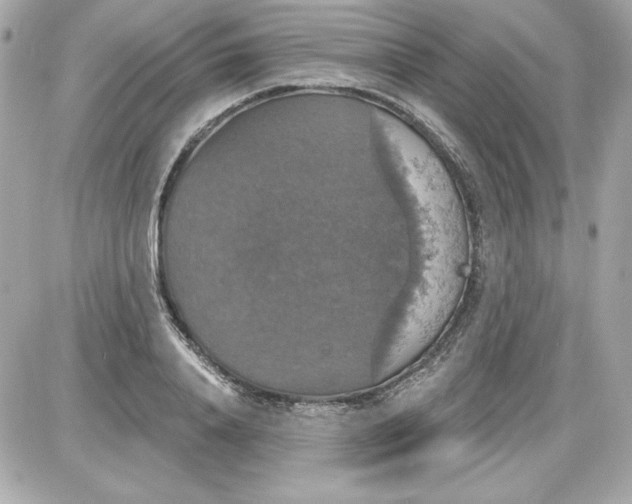 X0000087410840200705111849