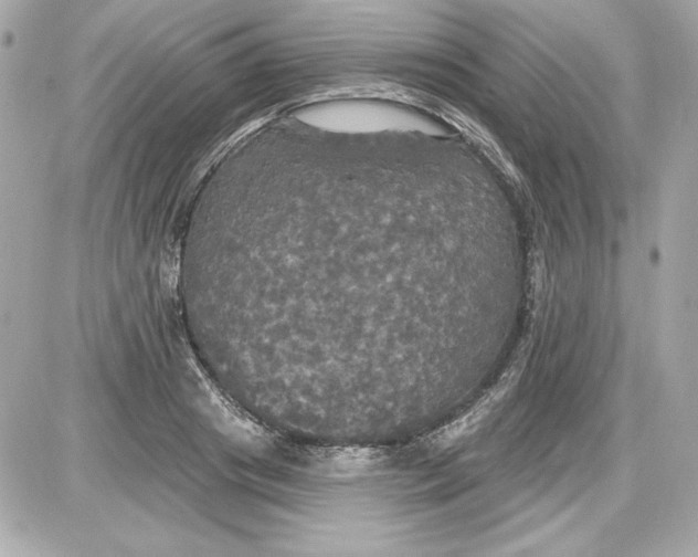 X0000087410841200705111849