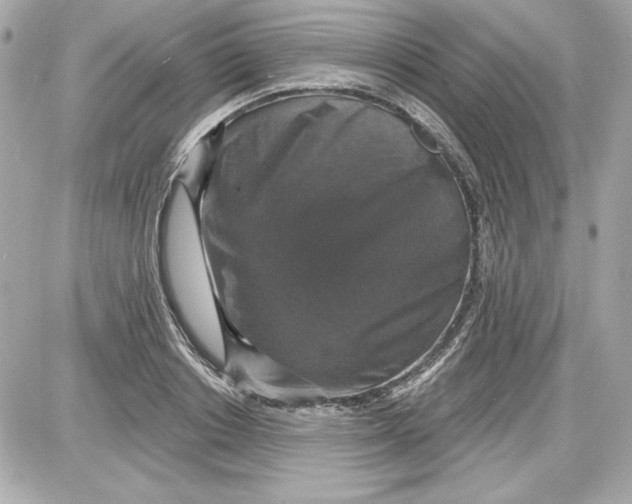 X0000087410842200705111849