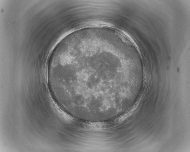 X0000087410843200705111849