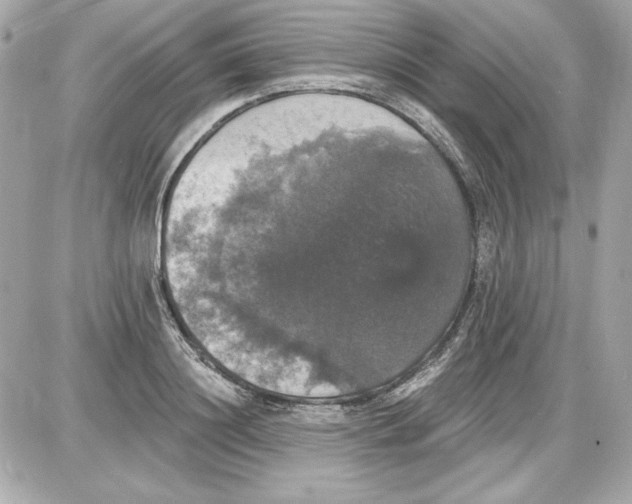 X0000087410844200705111849