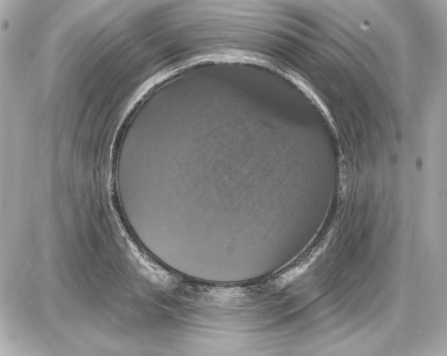 X0000087410845200705111849