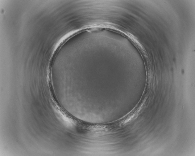 X0000087410846200705111849