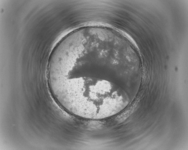 X0000087410847200705111849