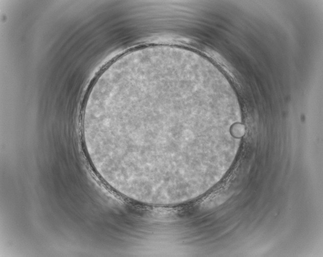 X0000087410848200705111849