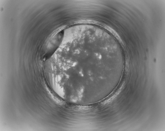 X0000087410849200705111849