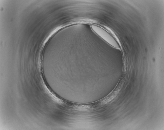 X0000087410851200705111849