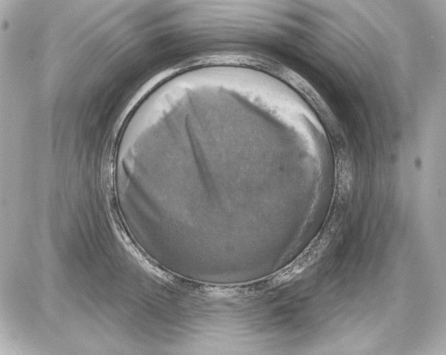 X0000087410852200705111849