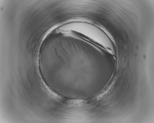 X0000087410853200705111849