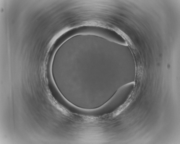 X0000087410854200705111849