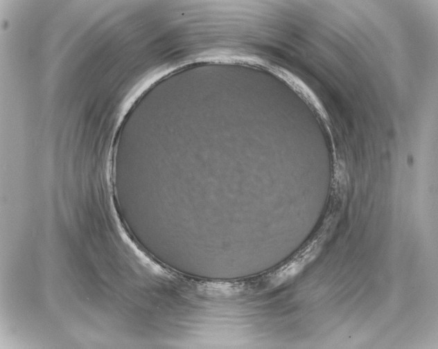 X0000087410855200705111849