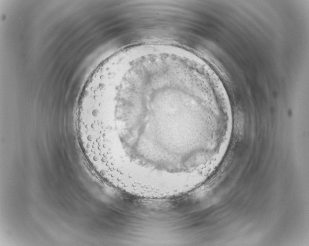 X0000087410856200705111849