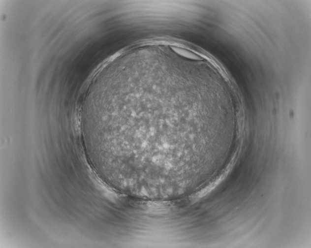 X0000087410857200705111849