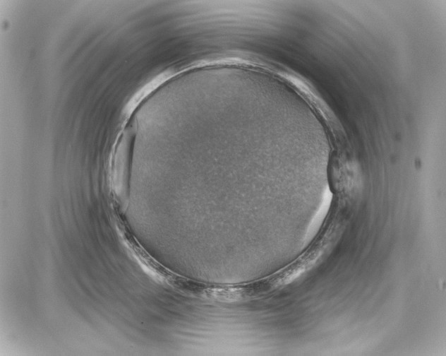 X0000087410858200705111849