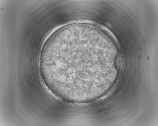 X0000087410860200705111849