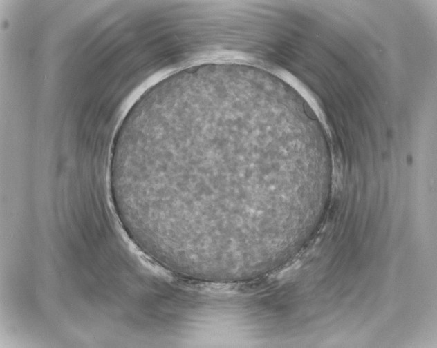 X0000087410861200705111849