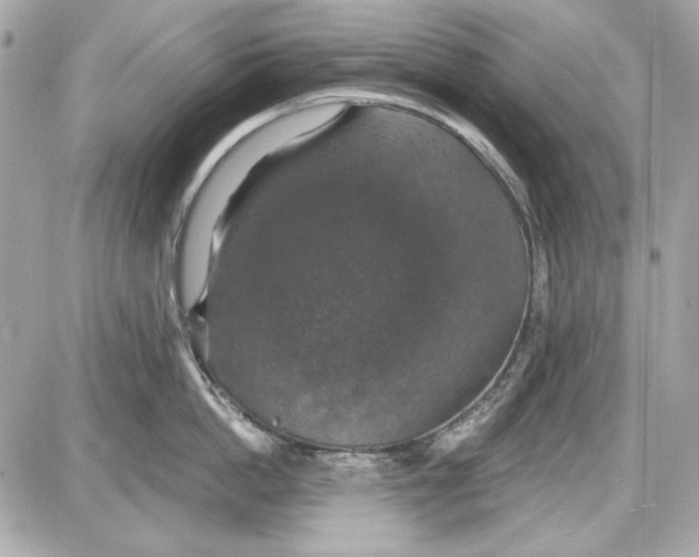 X0000087410862200705111849