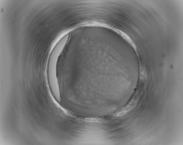 X0000087410863200705111849