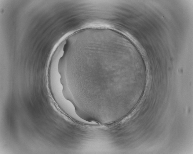 X0000087410864200705111849