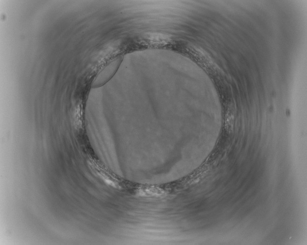 X0000087410866200705111849