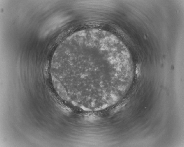 X0000087410867200705111849