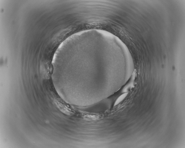 X0000087410868200705111849