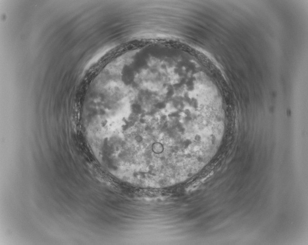 X0000087410871200705111849