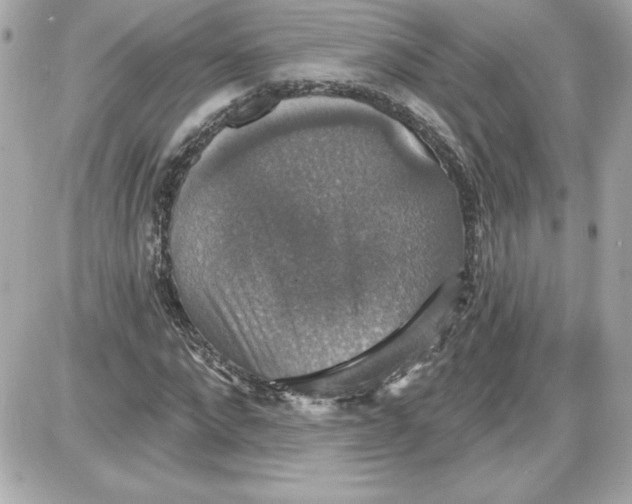 X0000087410872200705111849